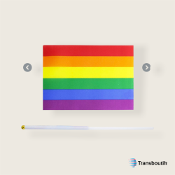 Petit drapeau LGBT x5