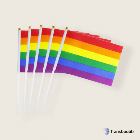 Petit drapeau LGBT x5