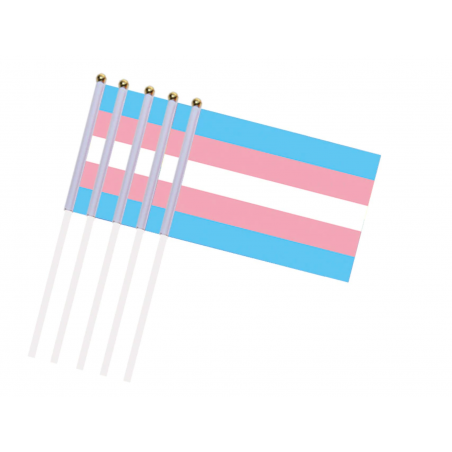 Petit drapeau transgenre x5