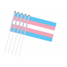 Petit drapeau transgenre x5