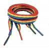 Lacets LGBT Pride