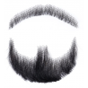 Fausse barbe réaliste Z3
