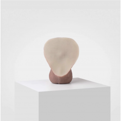 Prosthesis Emisil - 02 Erect - 15 cm - Boner