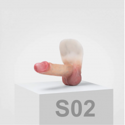 Prosthesis Emisil - 02 Erect - 15 cm - Boner