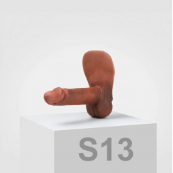 Prosthesis Emisil - 02 Erect - 15 cm - Boner