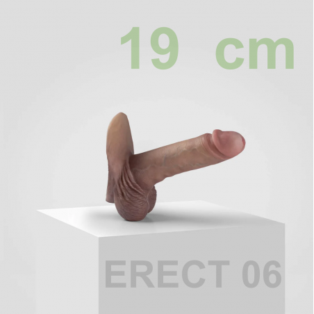 Emisil - 06 Erect - 19 cm Piston