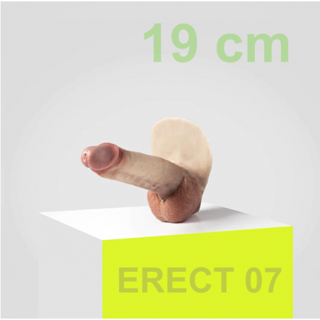 Emisil - 07 Erect - 19 cm Zeus