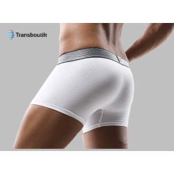 Boxer with white pocket