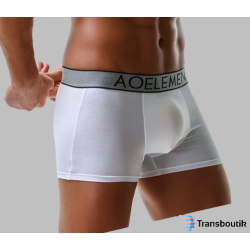Boxer with white pocket