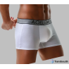 Boxer with white pocket