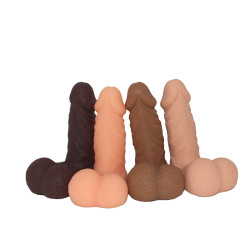 Packer Transdick Charmeur