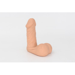 Packer Transdick Charmeur