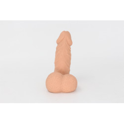 Packer Transdick Charmeur