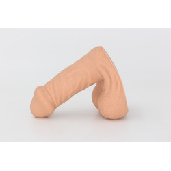Packer Transdick Charmeur