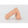 Packer Transdick Charmeur