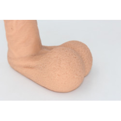 Packer Transdick Charmeur