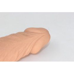 Packer Transdick Charmeur