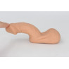 Packer Transdick Charmeur