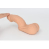 Packer Transdick Charmeur