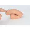 Packer Transdick Charmeur