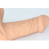 Packer Transdick Charmeur