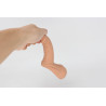 Packer Transdick Charmeur
