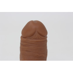 Packer Transdick Euphorie