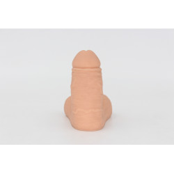 Packer Transdick Euphorie