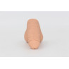 Packer Transdick Euphorie