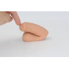 Packer Transdick Euphorie