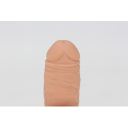 Packer Transdick Euphorie