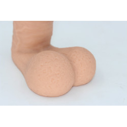 Packer Transdick Euphorie