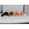 Packer Transdick Elegante
