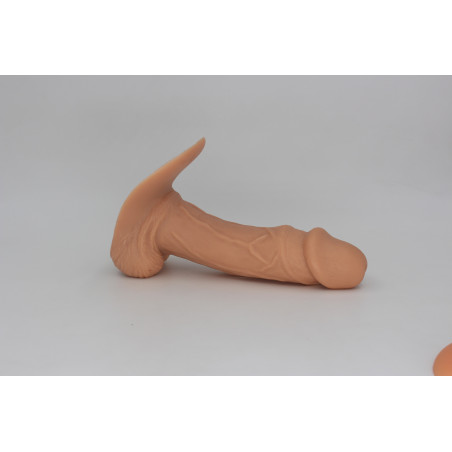 Packer Transdick Elegante