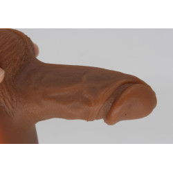 Packer Transdick Séduction
