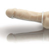 Faloplastia del sistema eréctil