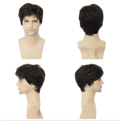 Short Wig Dark Brown with Frange