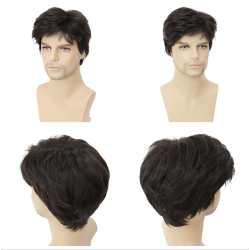 Short Wig Dark Brown with Frange