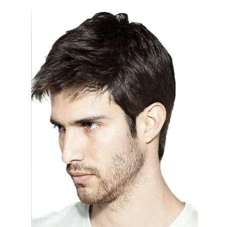 Short Wig Dark Brown with Frange