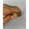 Eyaculación superior Peecock Gen5