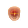 Prothèse 2 en 1 (STP 3)