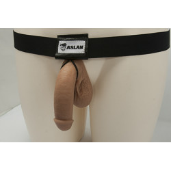 Simple harness Aslan