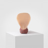 Prothèse Emisil - 01 Erect - 15 cm - Johnson