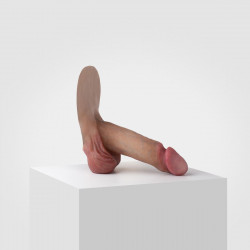Prothèse Emisil - 01 Erect - 15 cm - Johnson