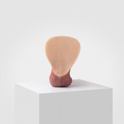 Prothèse Emisil - 04 Erect - 13,5 cm - Lollipop