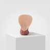 Prothèse Emisil - 04 Erect - 13,5 cm - Lollipop