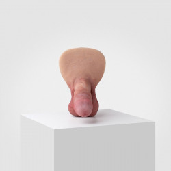 Protesis EmisiProtesis Emisil - 04 Erect - 13.5 cm - Lollipopl - 04 Erect - 13.5 cm - Lollipop
