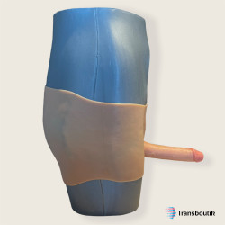 Penile prosthesis FTM